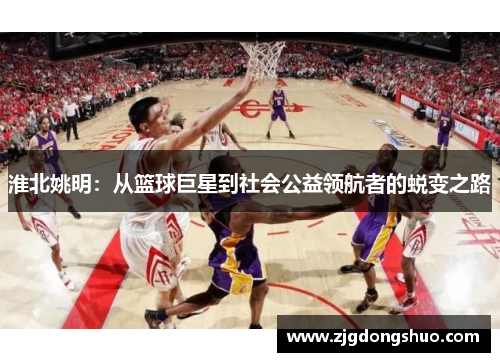 淮北姚明：从篮球巨星到社会公益领航者的蜕变之路